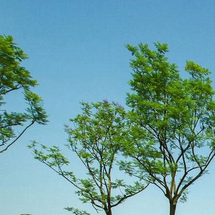 標(biāo)識設(shè)計(jì)簡筆畫幼兒園